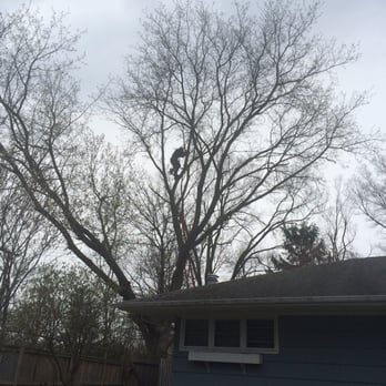 Art's Residental Tree Service - Dare Devils! - Landscaping Near Me - Canton, Michigan Art's Residental Tree Service - Dare Devils! - Landscaping Near Me - Canton, Michigan