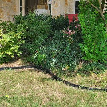 Work in Wisdom Services - a front yard with a tree, shrubs, and a fire hydrant - Lawn Services Near Me Work in Wisdom Services - a front yard with a tree, shrubs, and a fire hydrant - Lawn Services Near Me