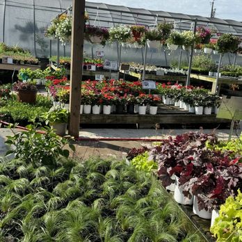 Cristinas Garden Center - Nurseries & Gardening Near Me - Dallas, Texas Cristinas Garden Center - Nurseries & Gardening Near Me - Dallas, Texas