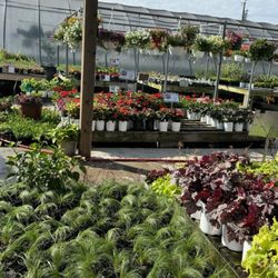 Cristinas Garden Center