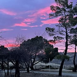 Tehachapi Wine and Cattle - Sunrise at Tehachapi Wine & Cattle Co..