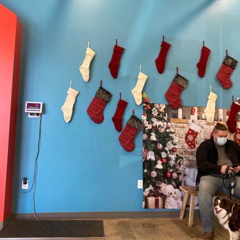 Emancipet - Christmas stockings - Veterinarians Near Me - Pflugerville, Texas Emancipet - Christmas stockings - Veterinarians Near Me - Pflugerville, Texas