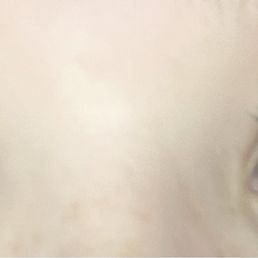 The lash extensions themself