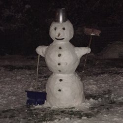 Stadt Munster - Ein munsteraner Schneemann (November 2016)
