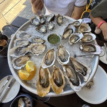 Hog Island Oyster Co - Oyster Bar Mix - Seafood Near Me - Napa, California Hog Island Oyster Co - Oyster Bar Mix - Seafood Near Me - Napa, California
