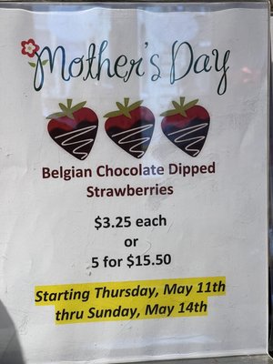 Amy's Candy Kitchen by null