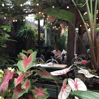 Maison Premiere - Welcome to the jungle! - Seafood Near Me - Brooklyn, New York