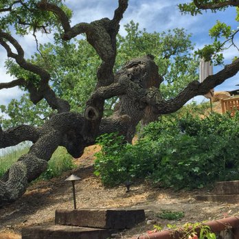 Pence Vineyards & Winery - Wineries Near Me - Buellton, California