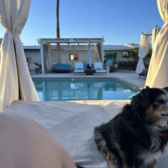 The O Spa - Dog friendly :) - Resorts Near Me - Desert Hot Springs, California The O Spa - Dog friendly :) - Resorts Near Me - Desert Hot Springs, California