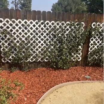LTS Landscape Design + Build - Before & After. Major clean-up and now we're ready for the fall - Landscaping Near Me - Corona, California LTS Landscape Design + Build - Before & After. Major clean-up and now we're ready for the fall - Landscaping Near Me - Corona, California