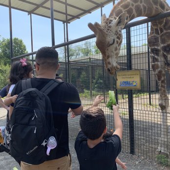 Nova Wild - Petting Zoos Near Me - Vienna, Virginia