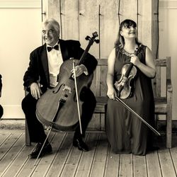 the Wigornia String Quartet - The Wigornia String Quartet