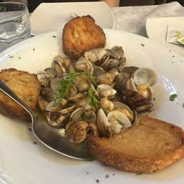 Clams Clams
