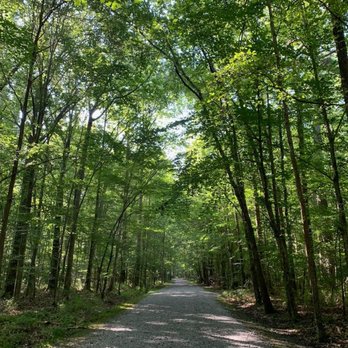 Northwest River Park Campground - Boating Near Me - Chesapeake, Virginia Northwest River Park Campground - Boating Near Me - Chesapeake, Virginia