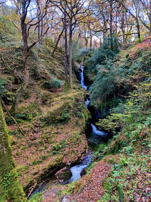 Glendalough by null