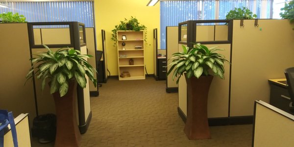 Commercial Office Cleaning - Do you want your office to shine and look inviting to your customers and clients? We offer small to medium size office and retail cleaning. Weekly, Bi-weekly, and monthly services. Also available is air and surface disinfecting that keeps yourself, staff and guest safe from airborne viruses and bacteria.
See more of our 5 star reviews on Google! Commercial Office Cleaning - Do you want your office to shine and look inviting to your customers and clients? We offer small to medium size office and retail cleaning. Weekly, Bi-weekly, and monthly services. Also available is air and surface disinfecting that keeps yourself, staff and guest safe from airborne viruses and bacteria.
See more of our 5 star reviews on Google!