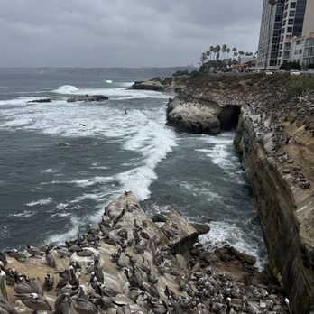 La Jolla Cove - Parks Near Me - La Jolla, California