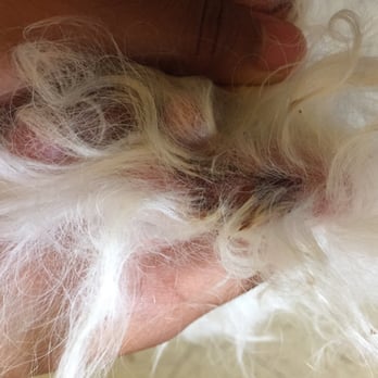 Natural Dog Company - Close up of before skin soother - Pet Stores Near Me - Marble Falls, Texas Natural Dog Company - Close up of before skin soother - Pet Stores Near Me - Marble Falls, Texas