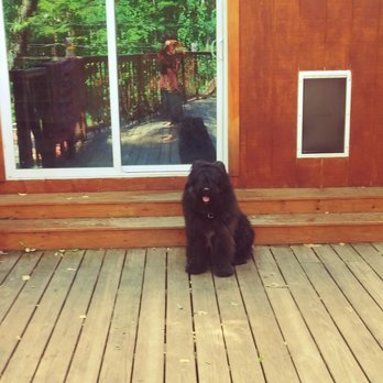 Bouviers Gate House - Pet Breeders Near Me Bouviers Gate House - Pet Breeders Near Me