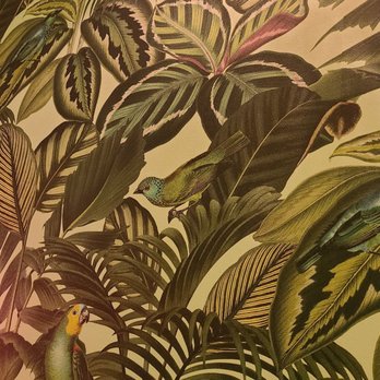 Roxanne’s - Beautiful wallpaper! - Cocktail Bars Near Me - Boston, Massachusetts
