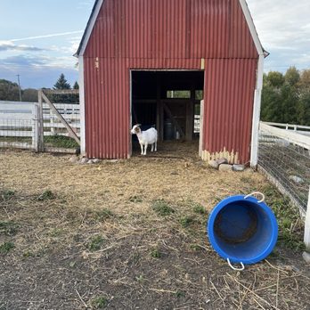 Deer Lake Orchard - Fruits & Veggies Near Me - Buffalo, Minnesota