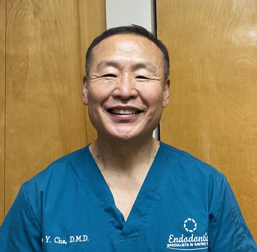 CHA BRUCE, DMD Updated October 2024 60 Washington Ave, Hamden, Connecticut Endodontists