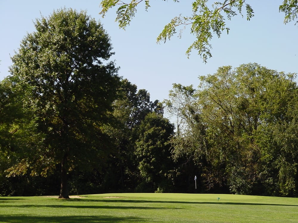 Newman Golf Course Logo