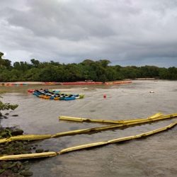 Island Kayaking Adventures - Kayaks at the mouth of the mangrove river.