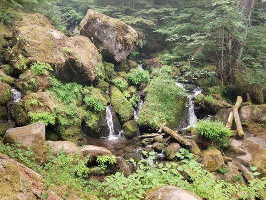 Watson Falls by null