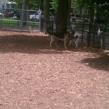 McCarren Park Dog Run - The large dog run - Dog Parks Near Me - Brooklyn, New York McCarren Park Dog Run - The large dog run - Dog Parks Near Me - Brooklyn, New York