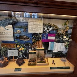 Exhibit inside the capitol