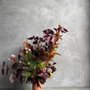 Le Bouquet Flower Shop & Design House 