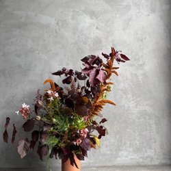 Le Bouquet Flower Shop & Design House