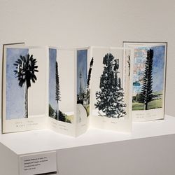 Michael P. Vargas Art Gallery - Reading the Landscape by Mary V. Marsh
