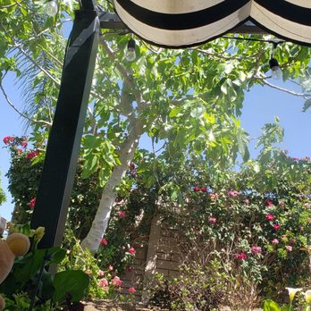 Doffo Wines - The decor was relaxing wherever you go! #doffowinery @doffowinery #winery #temecula #wineries #motodoffo #rilakkuma  #mortimerandfriends - Wineries Near Me - Temecula, California