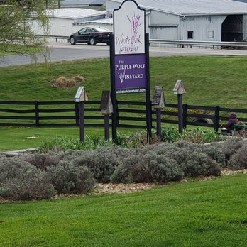 White Oak Lavender Farm - Wine Tasting Room Near Me - Harrisonburg, Virginia White Oak Lavender Farm - Wine Tasting Room Near Me - Harrisonburg, Virginia