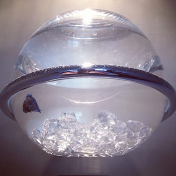 The Pearl Hotel - Pluto, our beta fish - San Diego, CA