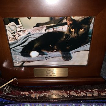 Pet Prairie - An example of one of the urns they offer. Solid oak. Nothing but the best in honor of my Lupin. - Pet Stores Near Me - La Porte, Indiana Pet Prairie - An example of one of the urns they offer. Solid oak. Nothing but the best in honor of my Lupin. - Pet Stores Near Me - La Porte, Indiana