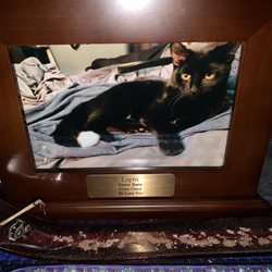 Pet Prairie - An example of one of the urns they offer. Solid oak. Nothing but the best in honor of my Lupin.
