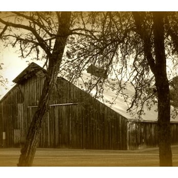 The Bayley Barn - The Bayley Barn-The perfect wedding venue or event site! - Venues & Event Spaces Near Me - Pilot Hill, California The Bayley Barn - The Bayley Barn-The perfect wedding venue or event site! - Venues & Event Spaces Near Me - Pilot Hill, California
