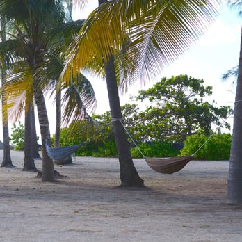 Gran Meliá - Lots of these in the resort - Resorts Near Me - Río Grande, Puerto Rico