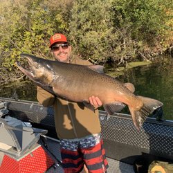 Fish Kevin Brock