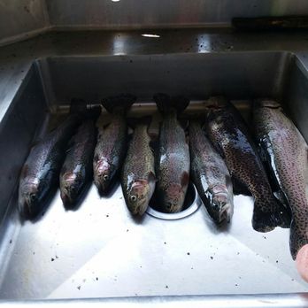 Lindsey's Resort - Fish! - Resorts Near Me - Heber Springs, Arkansas Lindsey's Resort - Fish! - Resorts Near Me - Heber Springs, Arkansas