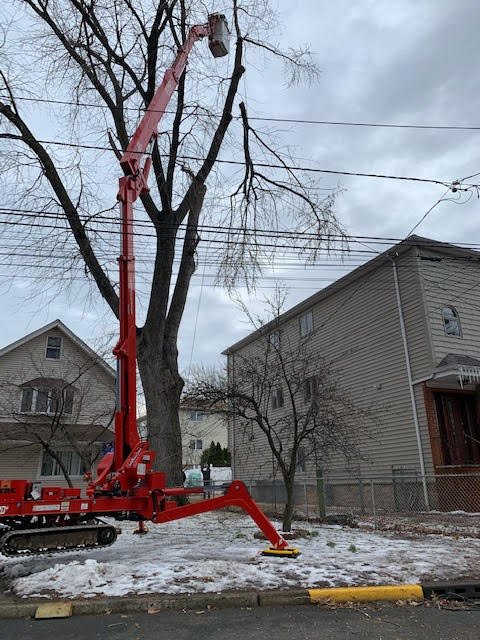 Birchwood Tree Service - tree service in Ramsey, NJ