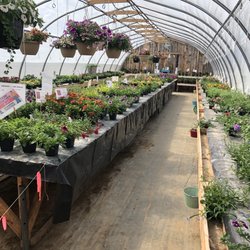 The Bloom 'n Bucket - Flower Greenhouse