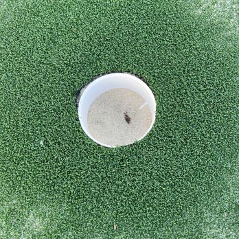 Tri-County Turf - Cups are all filled with sand - Landscaping Near Me