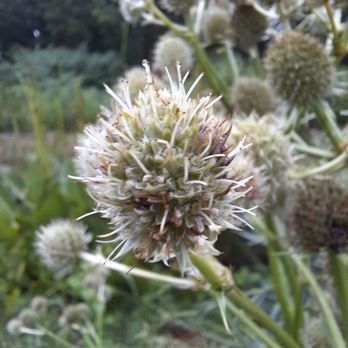 ANITA B GORMAN DISCOVERY CENTER - Updated August 2025 - 149 Photos & 16