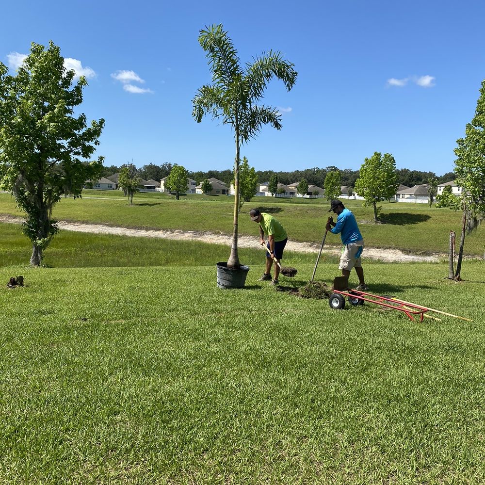 One Stop Landscape Supply - Nurseries & Gardening Near Me - Wesley Chapel, Florida One Stop Landscape Supply - Nurseries & Gardening Near Me - Wesley Chapel, Florida