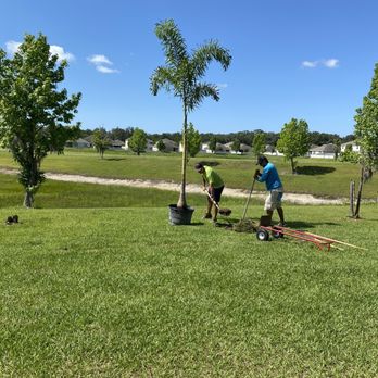One Stop Landscape Supply - Nurseries & Gardening Near Me - Wesley Chapel, Florida One Stop Landscape Supply - Nurseries & Gardening Near Me - Wesley Chapel, Florida