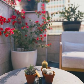Cafe Terrasse - Breakfast & Brunch Near Me - Los Angeles, California